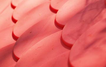 Westdown Camp plastic roof costs