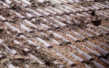 Westdown Camp roof cleaning companies