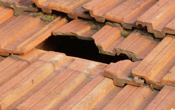 roof repair Westdown Camp, Wiltshire