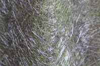 Westdown Camp fibreglass roof work